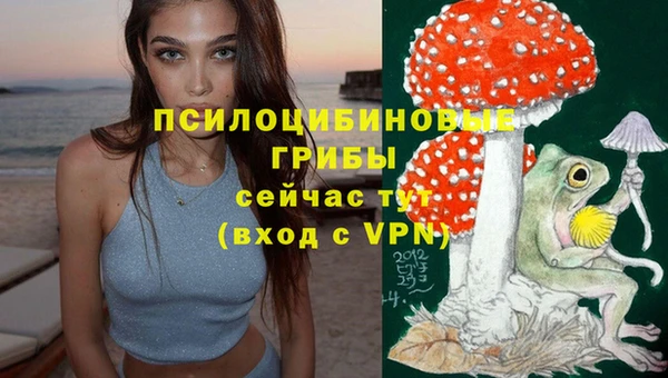spice Абаза