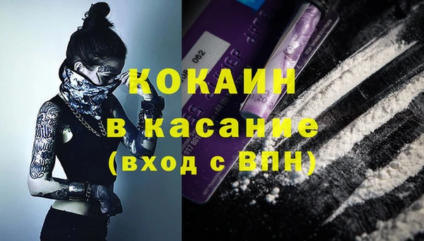 ПСИЛОЦИБИНОВЫЕ ГРИБЫ Алексин
