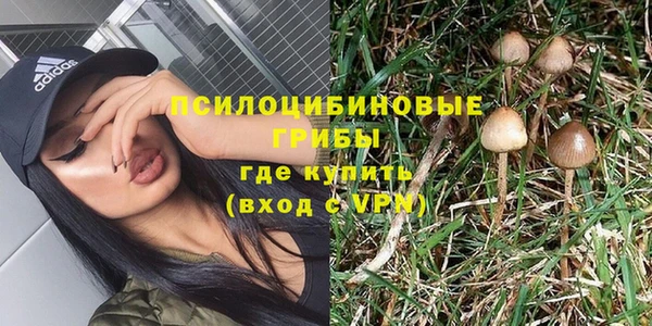 дмт Алзамай