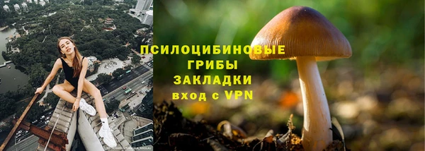 дурь Абинск