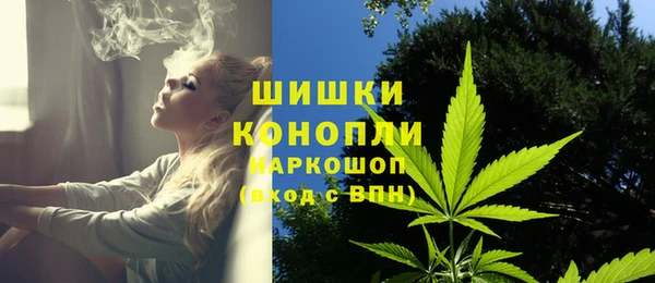 ПСИЛОЦИБИНОВЫЕ ГРИБЫ Алексин