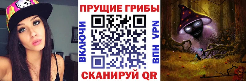 как найти закладки  Мамадыш  Псилоцибиновые грибы Psilocybe 