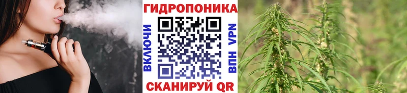 blacksprut ONION  наркошоп  Мамадыш  Бошки Шишки SATIVA & INDICA 